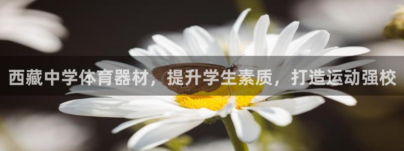 耀世娱乐是不是很黑呀:西藏中学体育器材,提升学生素质,打造运