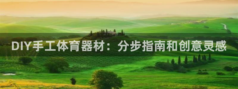 耀世集团王大聪简介:DIY手工体育器材:分步指南和创意灵感