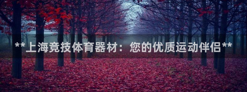 耀世x4:**上海竞技体育器材:您的优质运动伴侣**