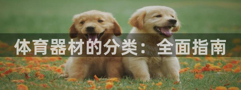 耀世平台注册登录不上:体育器材的分类:全面指南