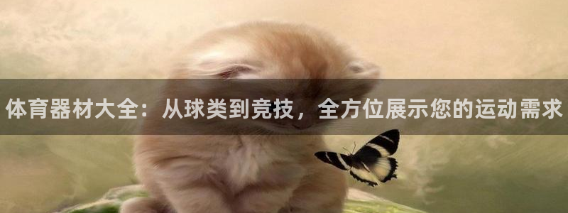 耀世平台注册链接:体育器材大全:从球类到竞技,全方位展示您的