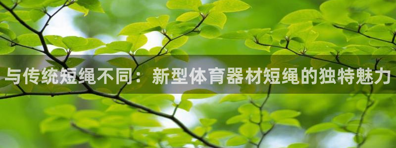耀世娱乐登录地址在哪查:与传统短绳不同:新型体育器材短绳的独